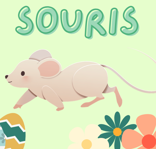 Entrée souris (0 à 5 ans)
